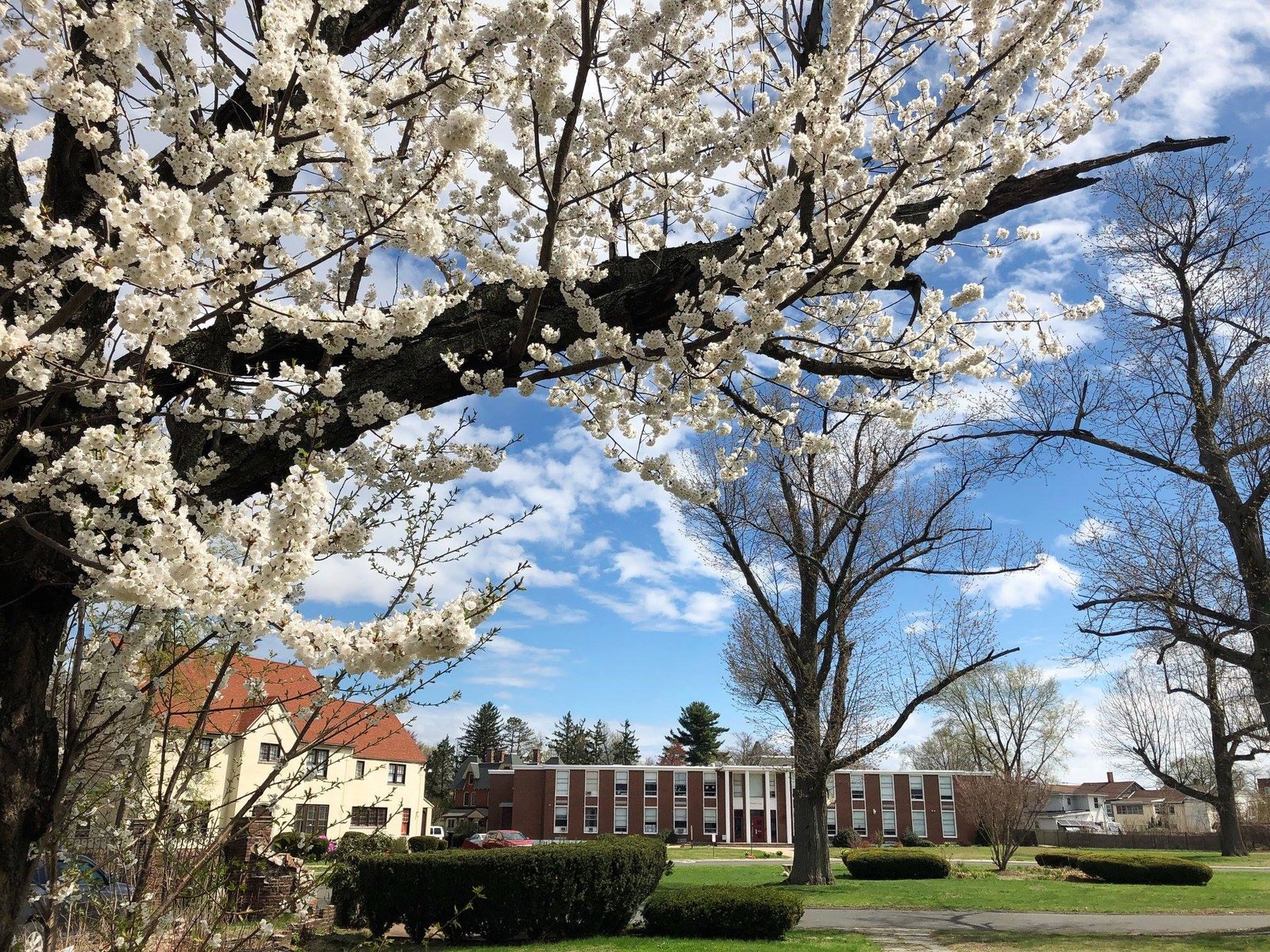 SCISS campus and students