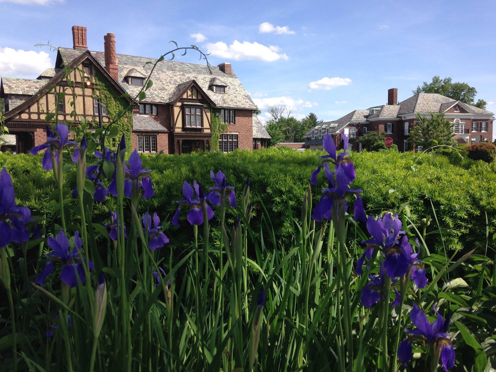 front view of springfield commonwealth campus
